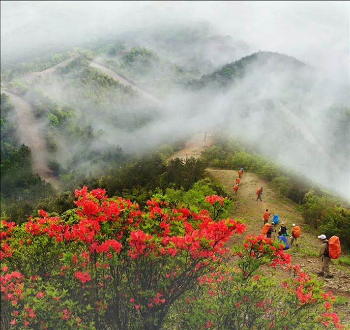 泰顺 乌岩岭