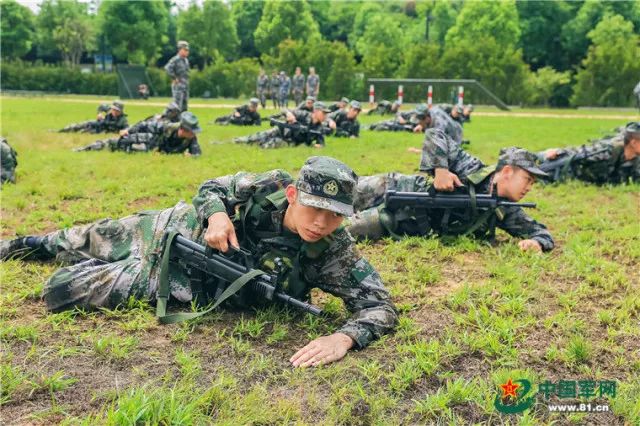 《一纸命令|匍匐前进时裤子被树根挂掉,连长却说这个"洋相"出得好