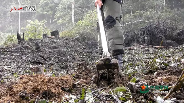 科技这么发达,解放军为何还人工扫雷 - 夏季草原 - 夏季草原的博客 科技这么发达,解放军为何还人工扫雷 - 夏季草原 - 夏季草原的博客
