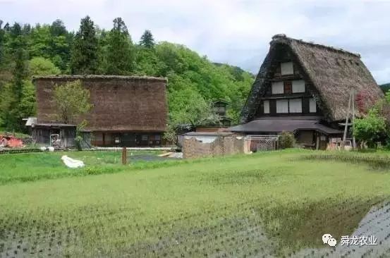 借鉴优质村庄规划经验材料_村庄规划经验做法_村庄规划经验总结
