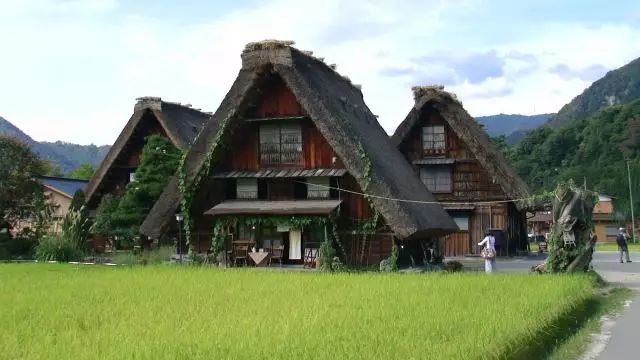 花店经营产品有哪些_花店经营产品介绍怎么写_花店经营产品