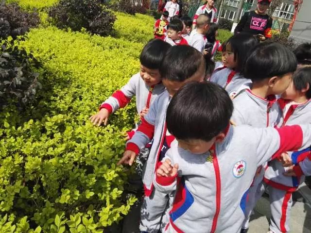 【成长自然感受明珠a自然亲近】汉阴县凤台幼儿园阳光小学图片图片