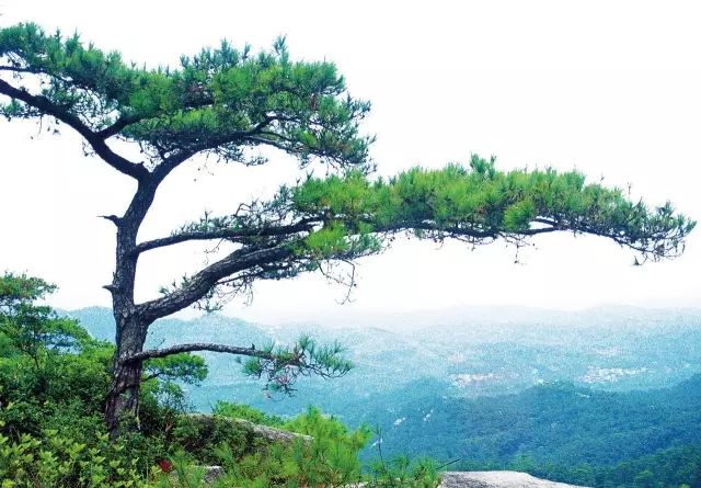 连氏古村温泉_连氏古村温泉_连氏古村温泉