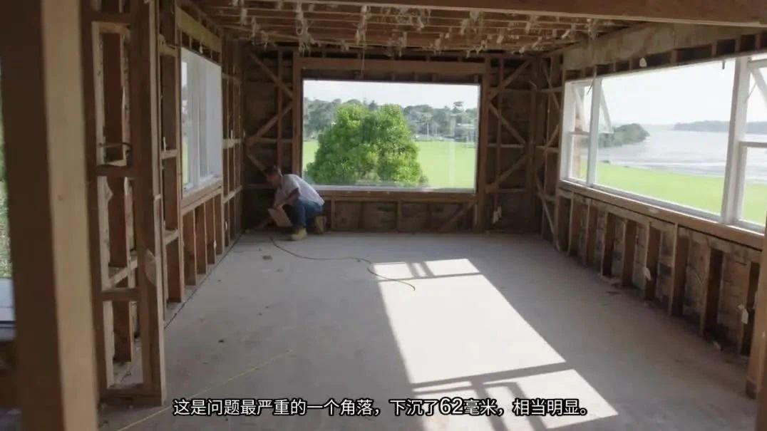 小镇对到访狗征税