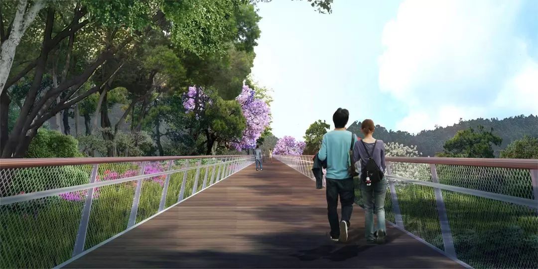 建设这样一条生态步行专门廊道,可满足通勤漫步,健身运动等各类人群