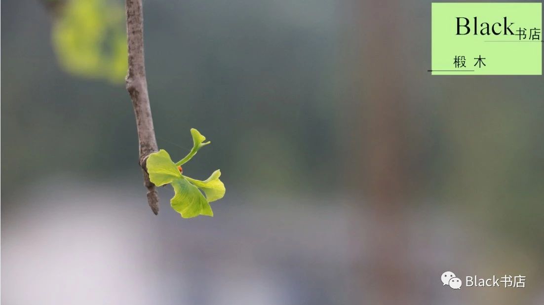 雨中的3分58秒