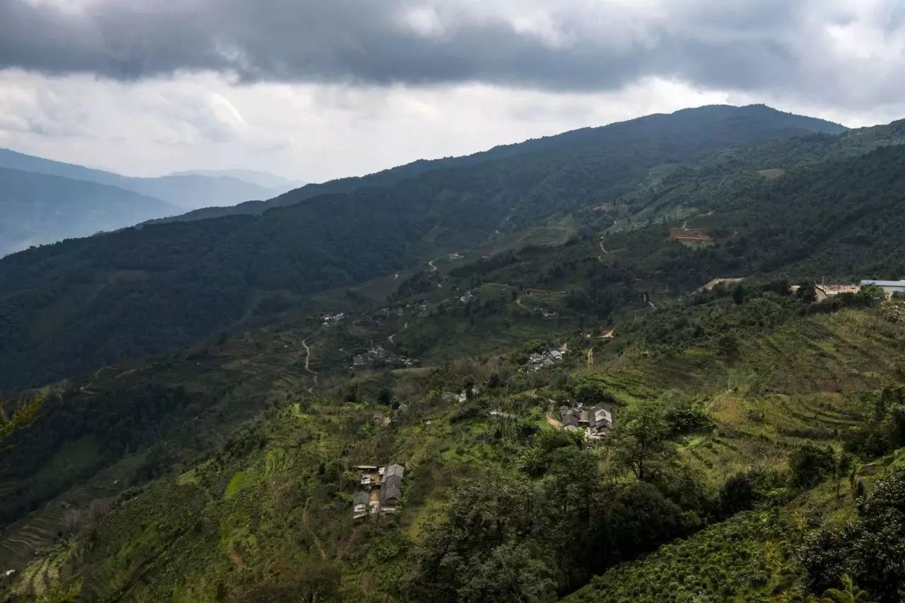 哀牢山自然保护区