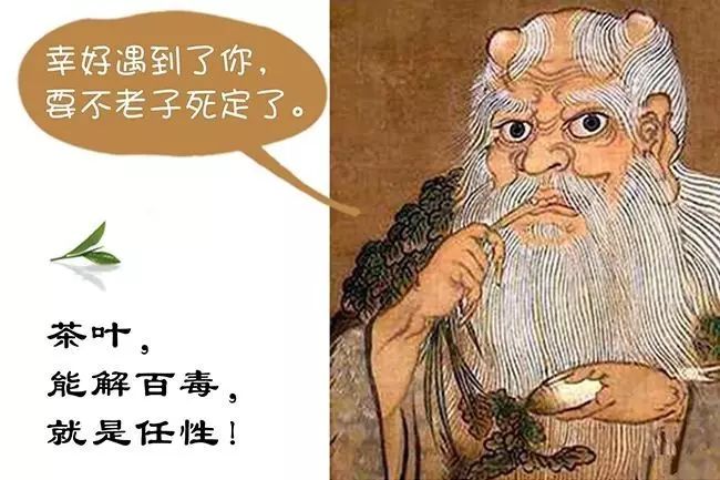 传说神农氏发现了茶 虽然传说不是历史事实的真实记述,但现代很多