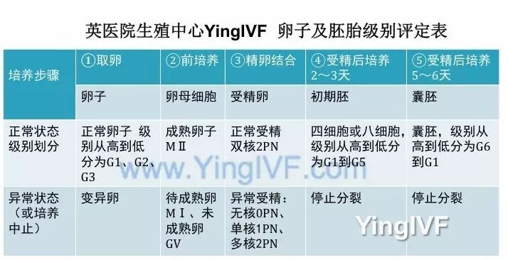 三天养囊结果_养囊三天看卵子五天看精子_养囊三天的胚胎怎么看好不好