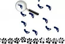 Example Image
