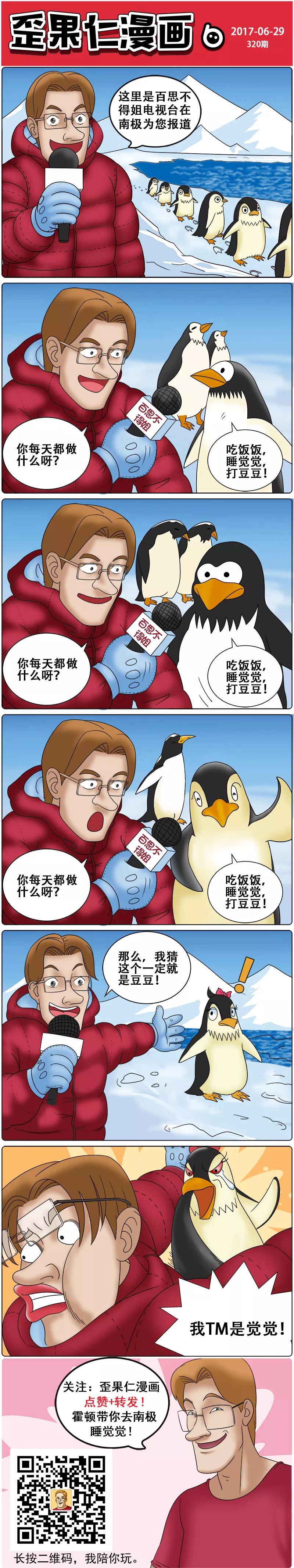 现在企鹅的生活都这么丰富了!【歪果仁漫画】