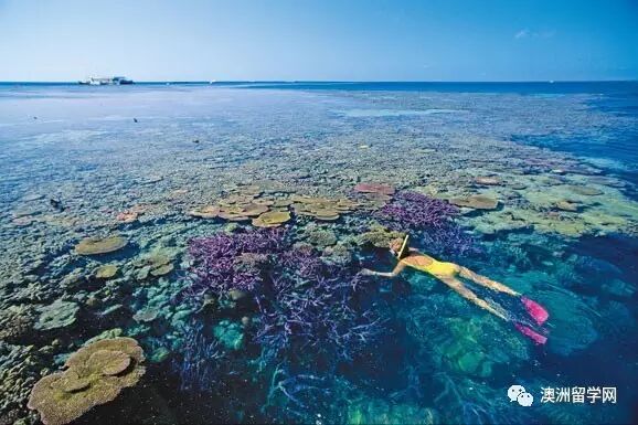【澳洲留学】在澳留学除了学习还能做什么？