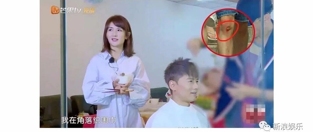 张杰谢娜粉丝就这么水火不容?