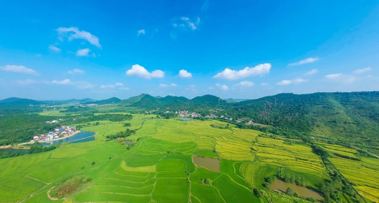 宗次郎这首《故乡的原风景》轻音乐名曲