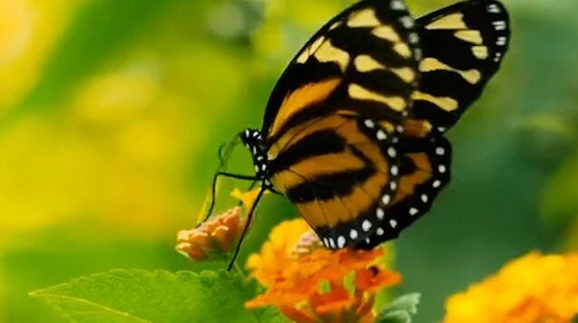 美丽的星期二，早安！