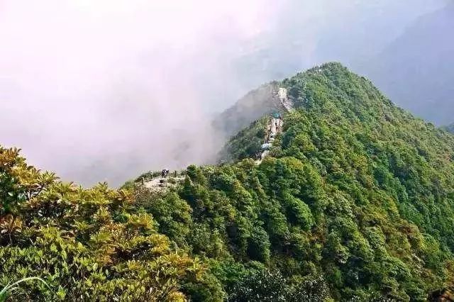 09 梧桐山风景名胜区位于广东省深圳经济特区东部,地理坐标:东经113