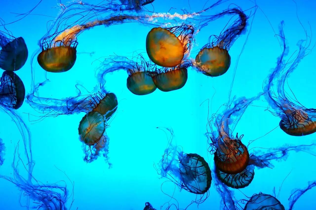 泰国芭提雅天气穿衣_芭提雅天气_泰国芭提雅7月天气