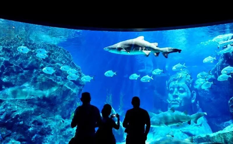 芭提雅天气_泰国芭提雅天气穿衣_泰国芭提雅7月天气