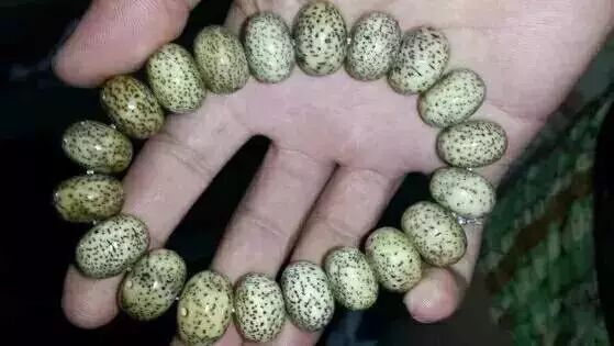 星月菩提盘功效_星月菩提盘出来的效果图_菩提星月怎么盘上色快视频