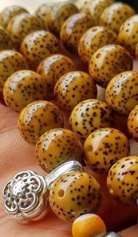 星月菩提盘出来的效果图_菩提星月怎么盘上色快视频_星月菩提盘功效