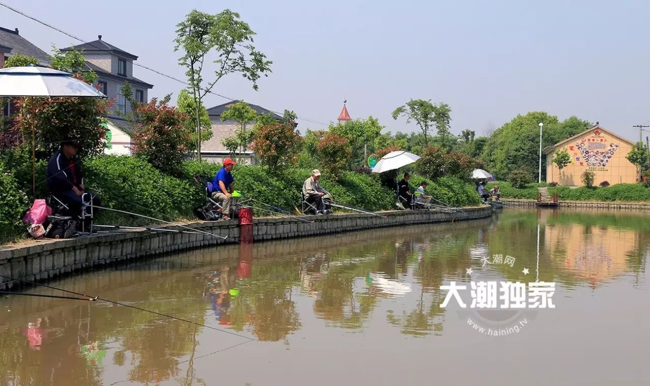 浙江嘉兴海宁_浙江农业银行海宁支行_浙江海宁市属于哪个市