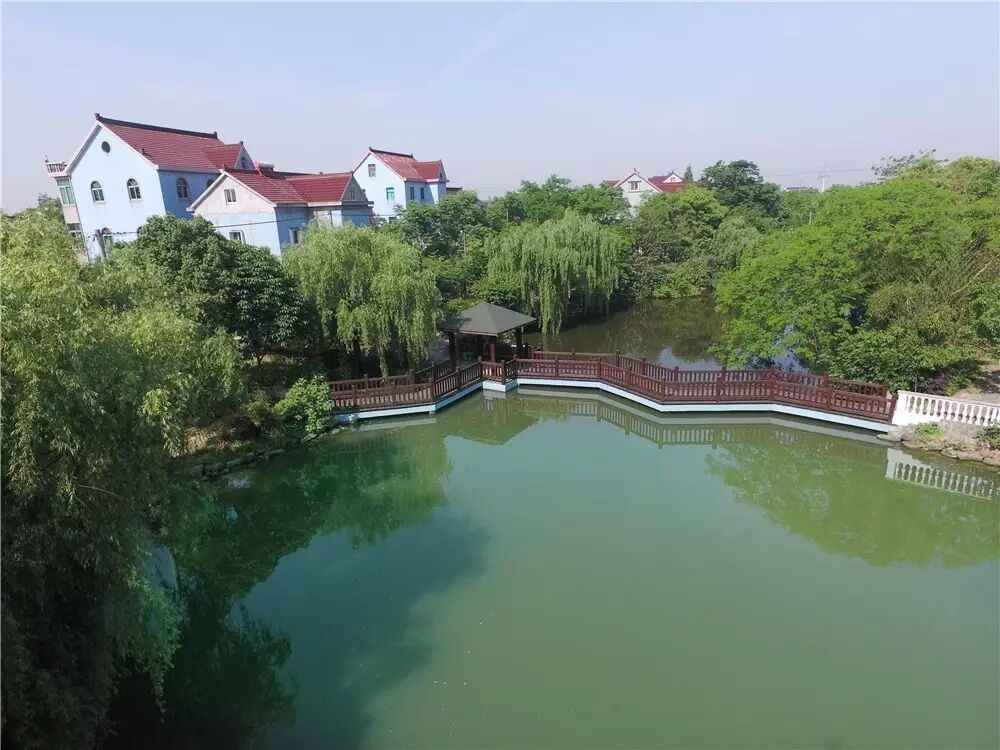 浙江海宁市属于哪个市_浙江农业银行海宁支行_浙江嘉兴海宁