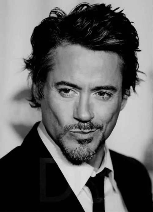 钢铁侠 robert downey jr