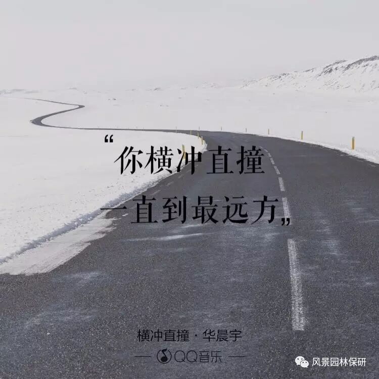 保研智囊团丨不忘初心——刻在心底的清华情结