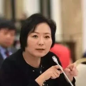 500亿财富继承者:吴亚军女儿成龙湖大股东