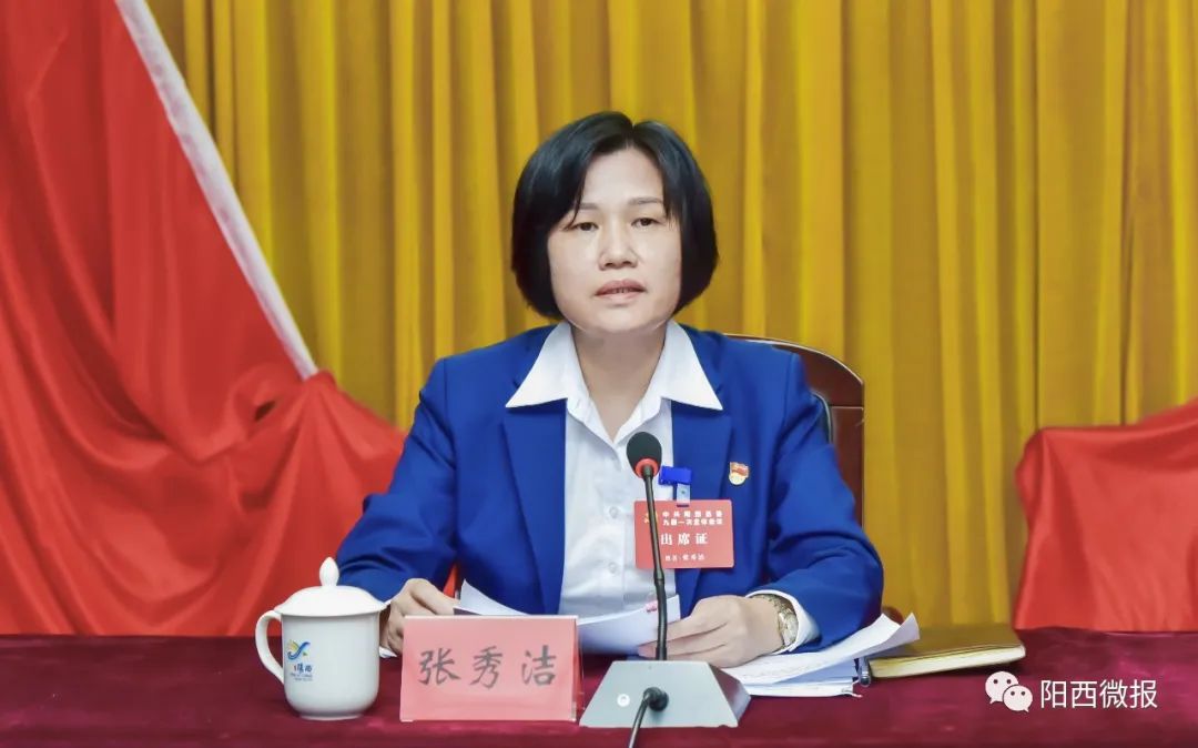 新一届阳西县委领导班子选举产生张秀洁当选县委书记