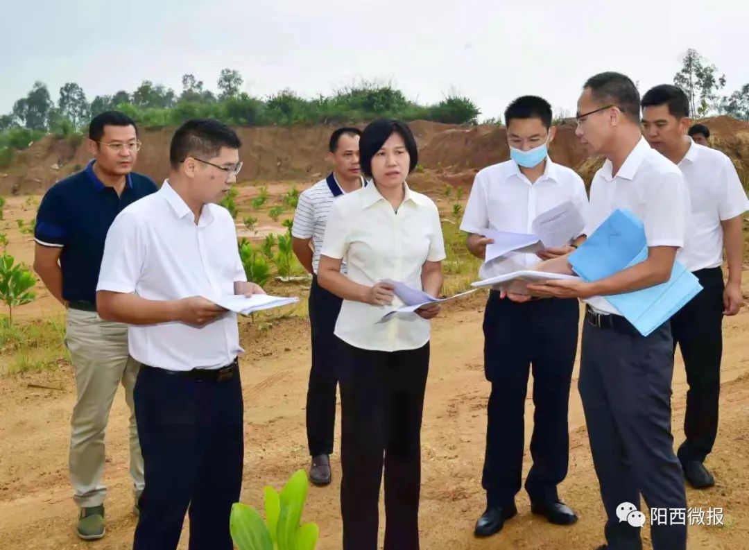 张秀洁黄家新调研疫情防控,生态环保问题整改工作 -阳西县人民政府