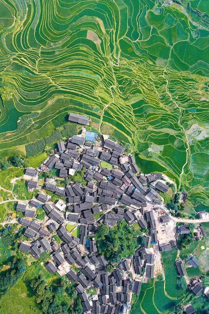 什么是中国?(1)