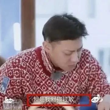 黄子韬拍戏期间引发过敏,深夜前往医院,过敏原因疑似与宠物有关