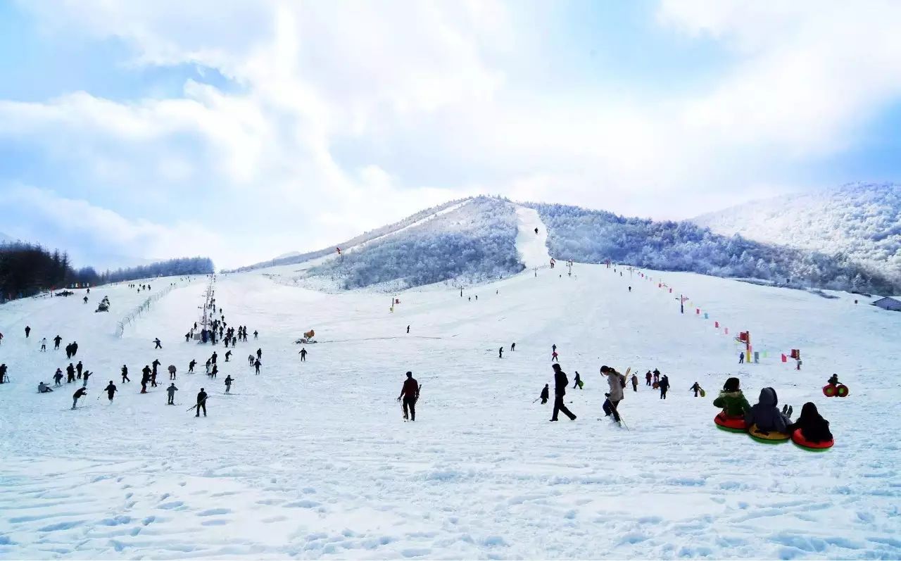 神农架滑雪场,神农架动植物标本馆,香溪源,神农祭坛,金猴岭,老君山