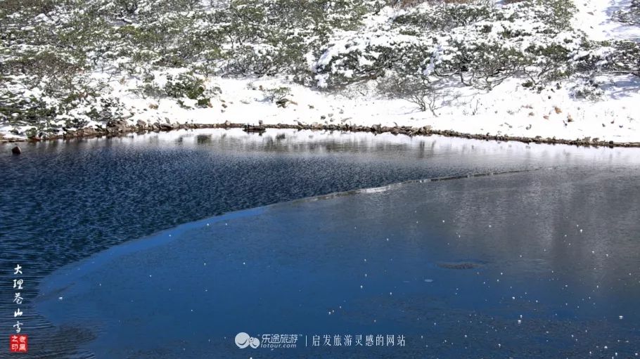 大理·苍山雪 洗马潭局部 摄影 老黑在风口和更高地方的冷杉,树上