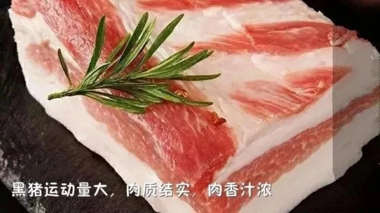 与普通猪肉相比拟,更是不难发现黑猪肉的优点,而这些优点常常是普通