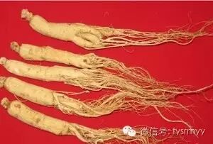 【收藏】家庭煲汤最常用的十种中药材