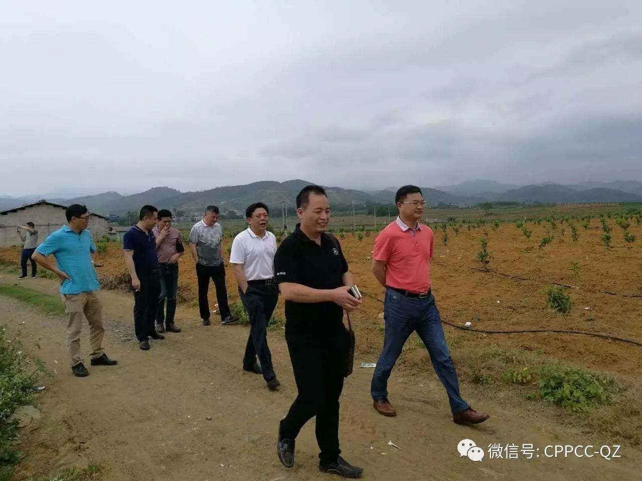 大力发展沃柑产业"打造广西沃柑强县"取得的优异成果,鼓励全州籍在外