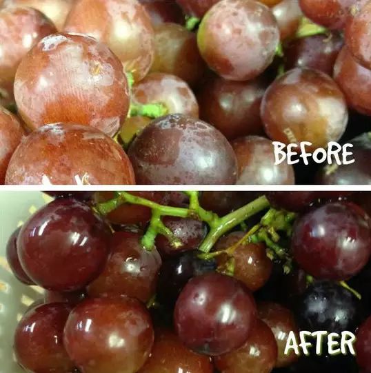 洗衣服時加點它，搓一下都不用，衣服立刻干凈如新！