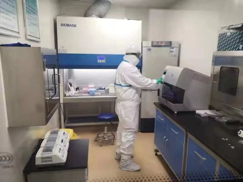 如何应对无症状感染？白岩松向专家提问