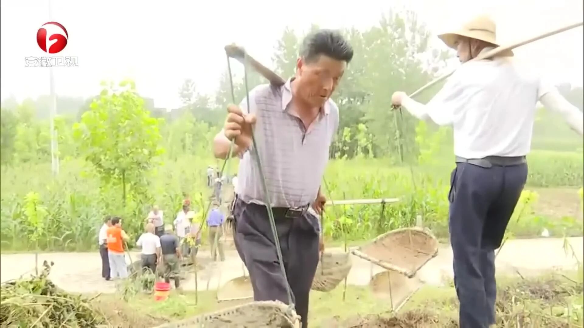 《安徽​新闻联播》聚焦无为市防汛工作；无为市委、市政府致沿江各镇广大群众的一封信-1