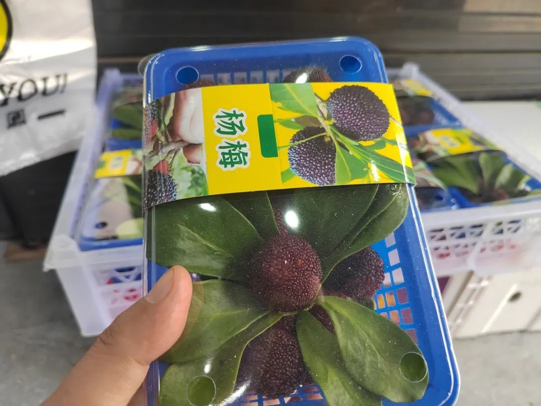 微信图片_20250513153935.jpg