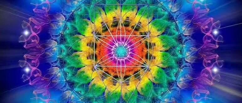 生命之花能量卡 一阶 8月24日 25日 爱的新世界 微信公众号文章阅读 Wemp