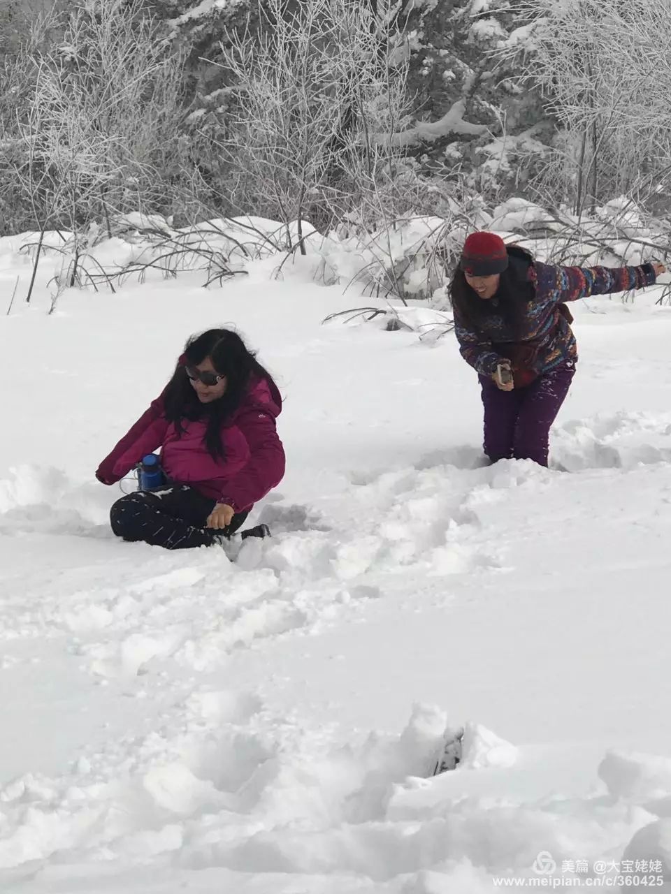 那雪早下得密了,但见:凛凛严凝雾气昏,空中祥瑞降纷纷.