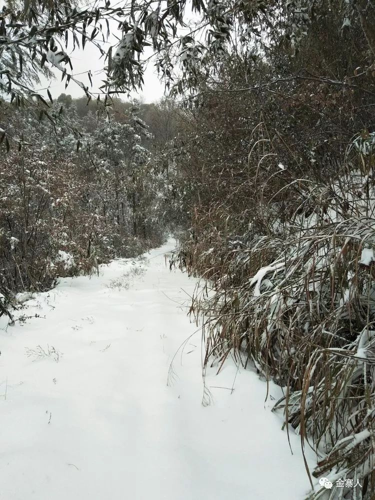 沿着山径继续向深山中行进,人迹罕至.