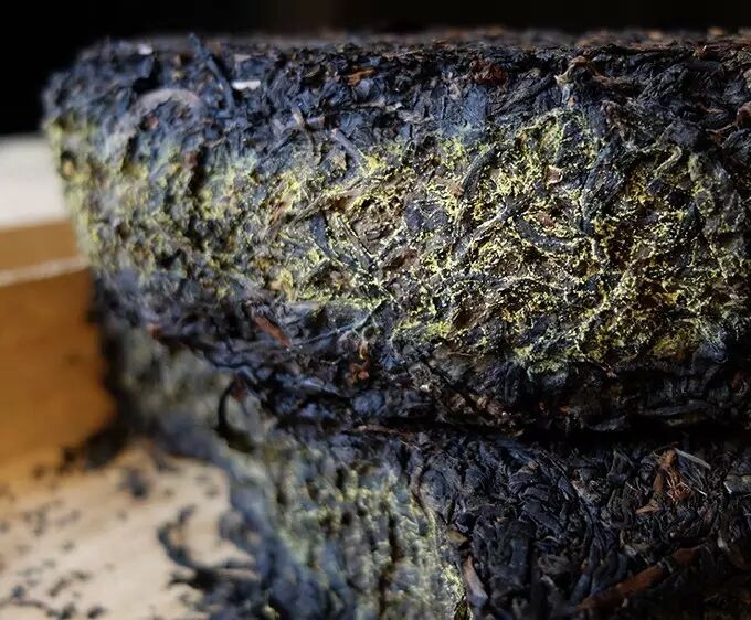 冬天喝黑茶，让你少生病、不长膘！