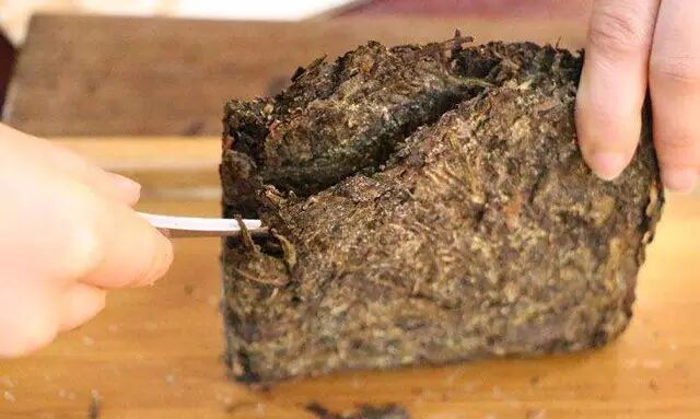 黑茶的冲泡技巧，你知道吗？