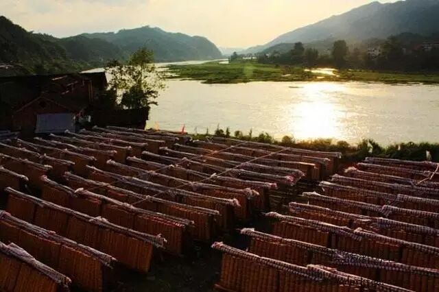 时光的无情刻刀雕刻出黑茶的优雅