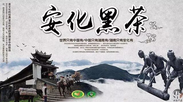 黑茶宣传片绑定CCTV-1/13、CCTV-4和CCTV-9