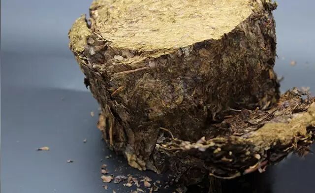 夜听：黑茶帮你补充你所需要的维生素！